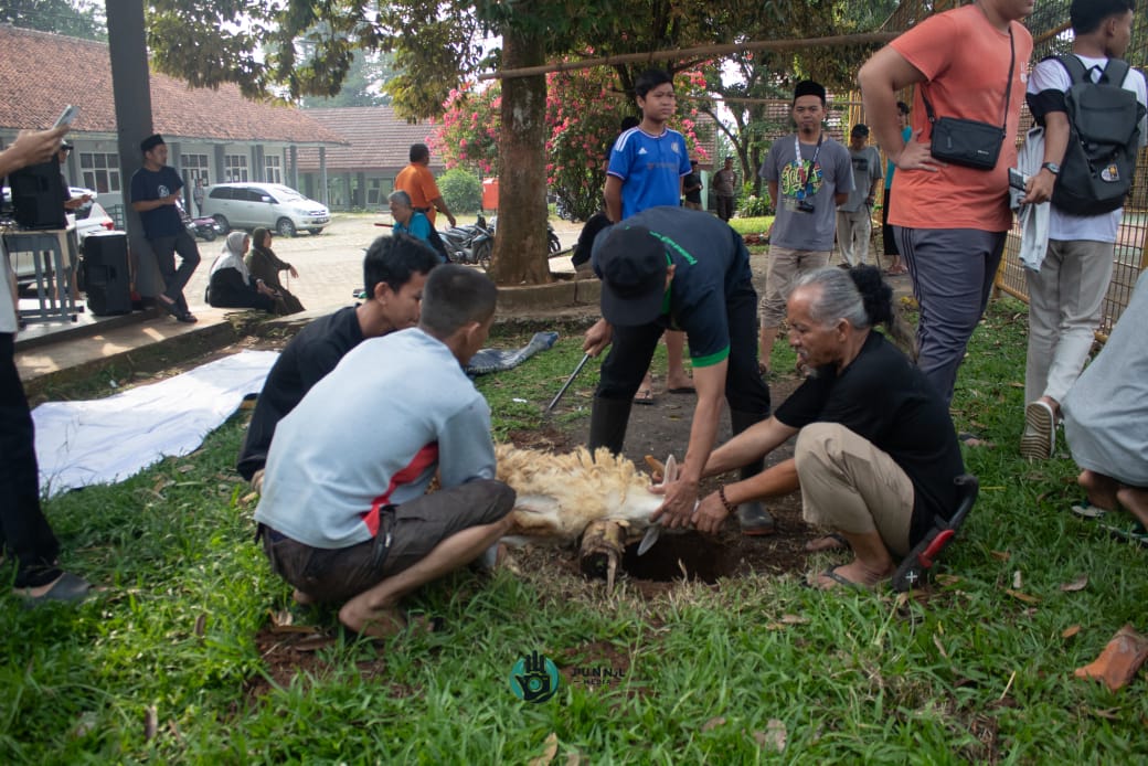 MAN 2 Bogor Laksanakan Praktik Penyembelihan Hewan Qurban