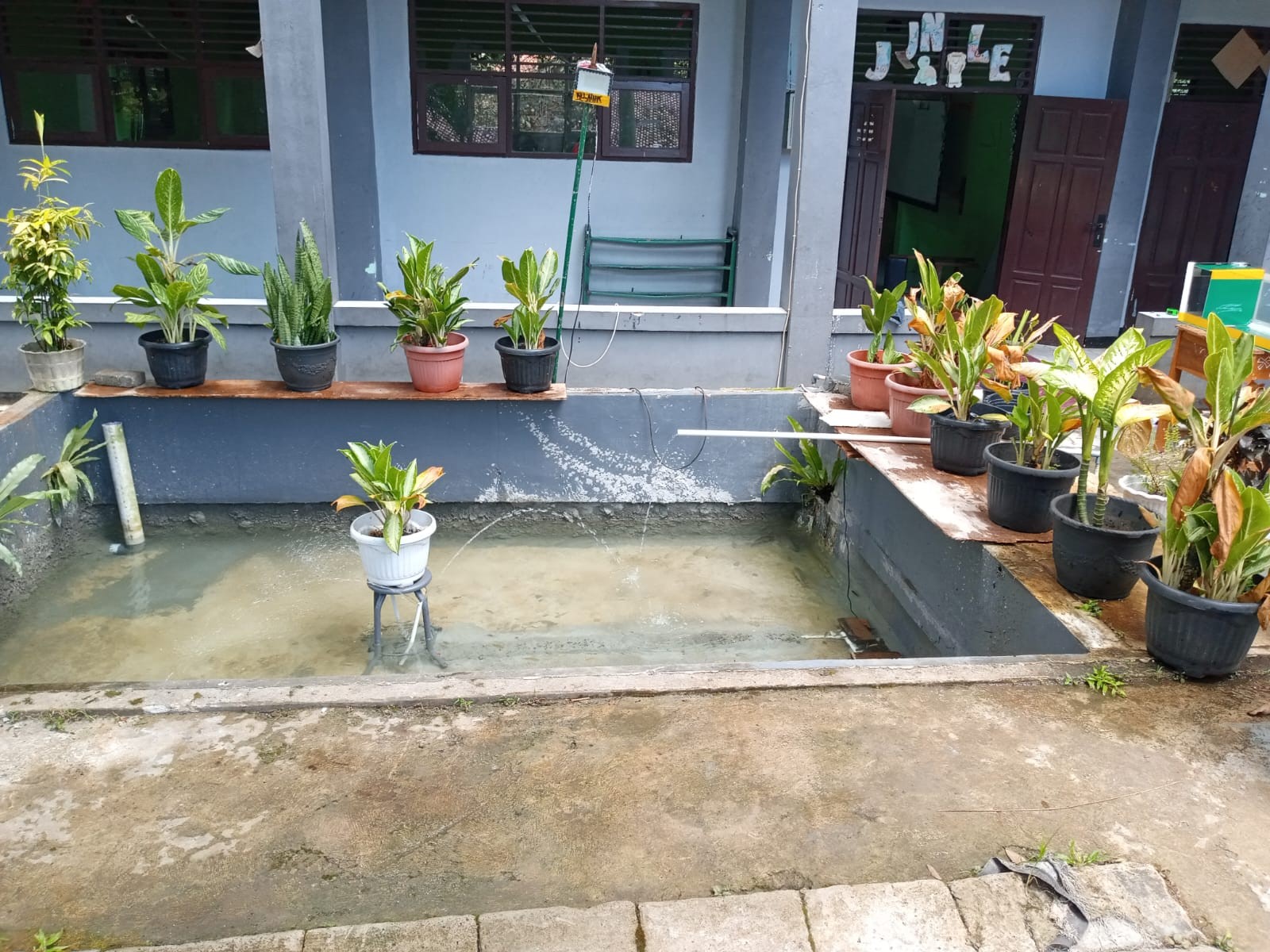 Tim Kebersihan MAN 2 Bogor Laksanakan Pembersihan Kolam Ikan di Masa Libur Sekolah